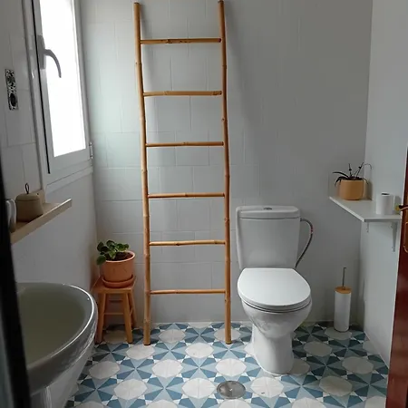 Casa Olivo Malaga